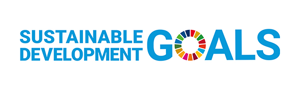 What is the SDGs?