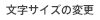 文字サイズの変更