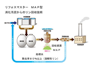 消化汚泥からのリン回収技術フロー