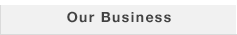 Our Business(selected)