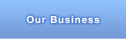 Our Business