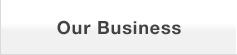 Our Business