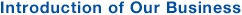 Introduction of Our Business
